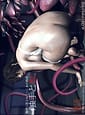 shokushu to onna | Related